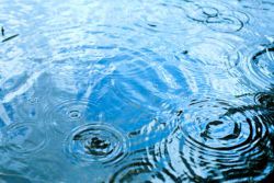 Отведение дождевой воды и ее использование для хознужд