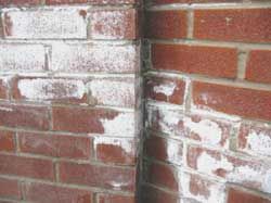 Как не допустить высолы на стене и как удалить высолы на кирпиче и бетоне, если они появились